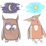 People are larks, owls and pigeons are psychotypes
