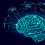 Мозг человека и мысли