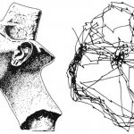Рис. 1. Пример траектории движения глаз при рассматривании профиля Нефертити