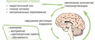 Влияние стресса на мозг
