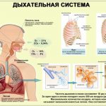 Заболевания органов дыхания - повод для курортного лечения